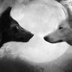 Meet your Posher, Markeese